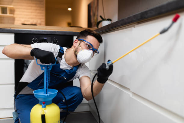 Best Residential Pest Control  in Princeton, FL