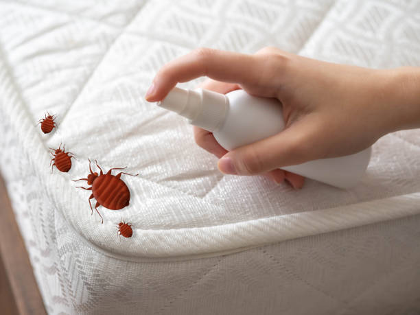 Best Affordable Pest Control Services  in Princeton, FL