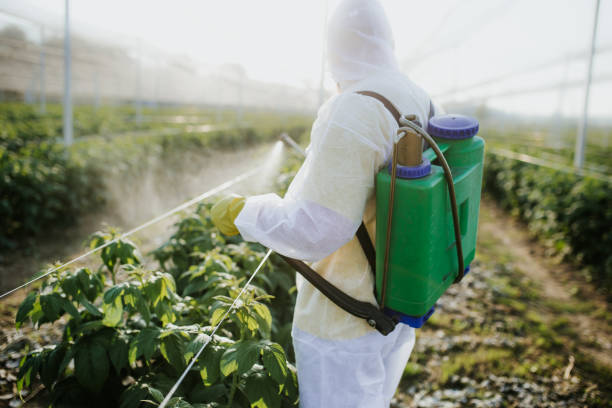 Professional Pest Control in Princeton, FL
